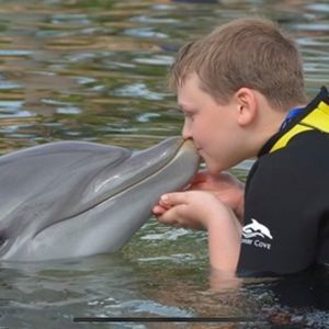 Meet your Posher, Joe